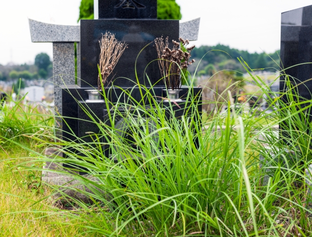 お墓に草が生い茂っている